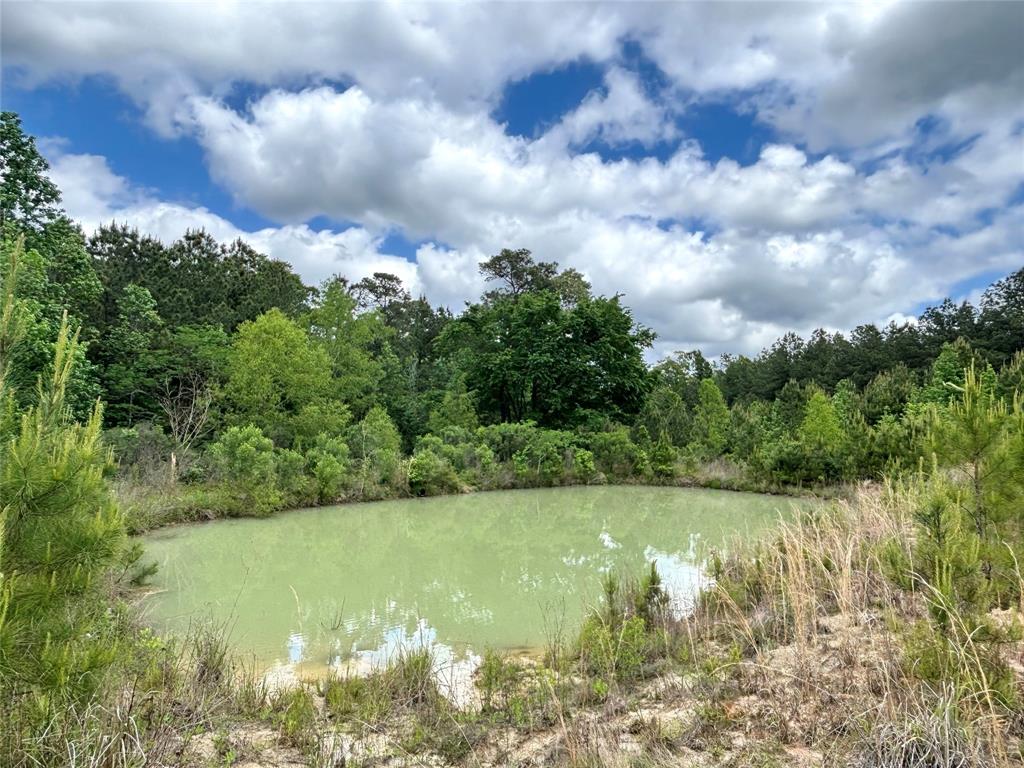 8291 County Road 3725, Colmesneil, Texas image 13
