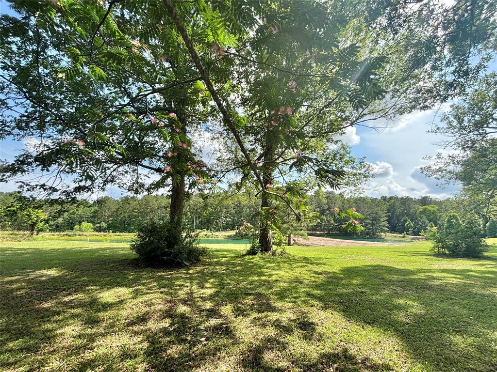 8291 County Road 3725, Colmesneil, Texas image 16
