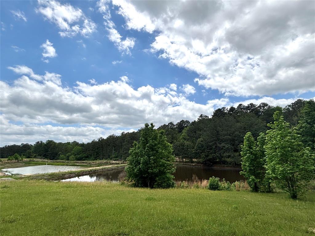 8291 County Road 3725, Colmesneil, Texas image 32