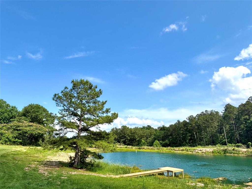 8291 County Road 3725, Colmesneil, Texas image 17