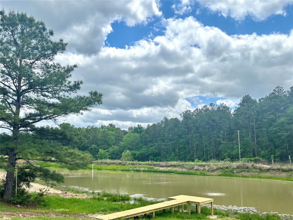 8291 County Road 3725, Colmesneil, Texas image 16
