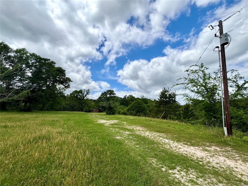 8291 County Road 3725, Colmesneil, Texas image 11