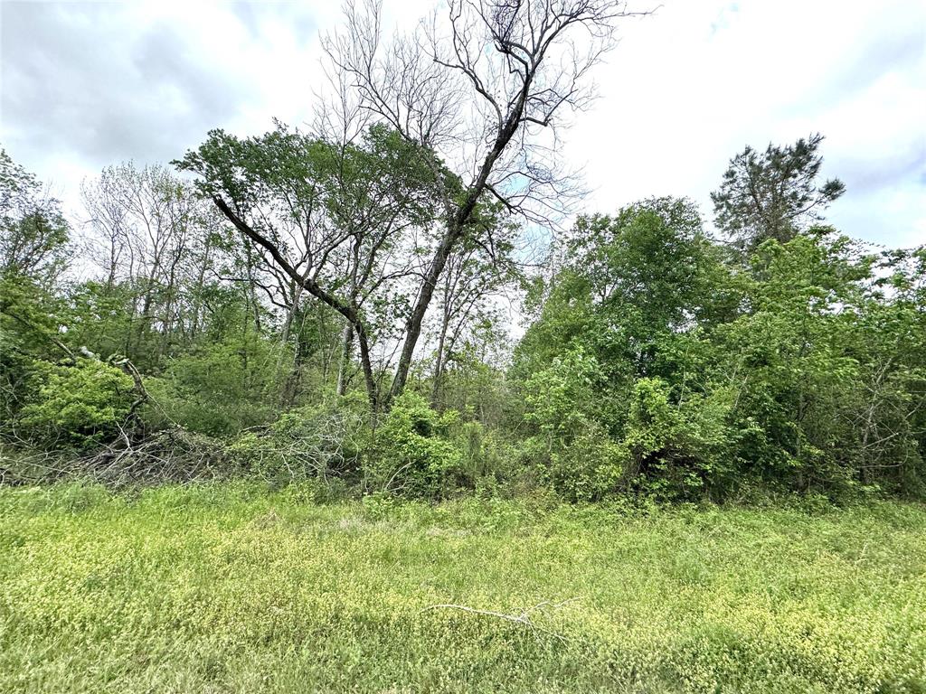 TBD Corner Of Fm 787 W/county Road 2148, Cleveland, Texas image 9