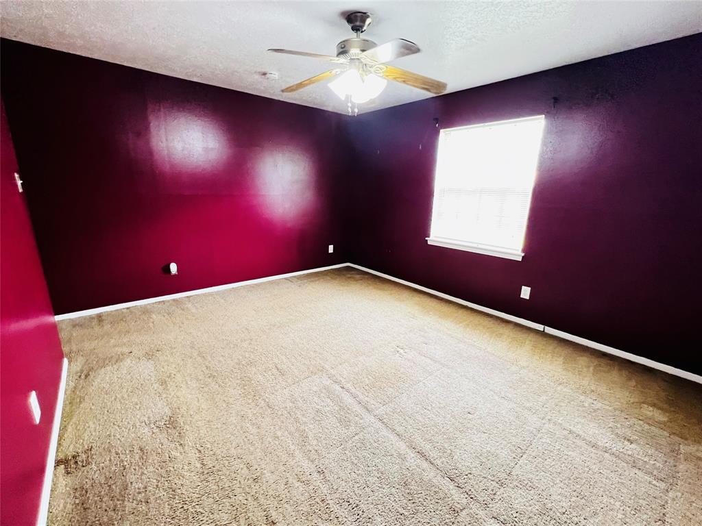 810 Shawnee Street, Houston, Texas image 18