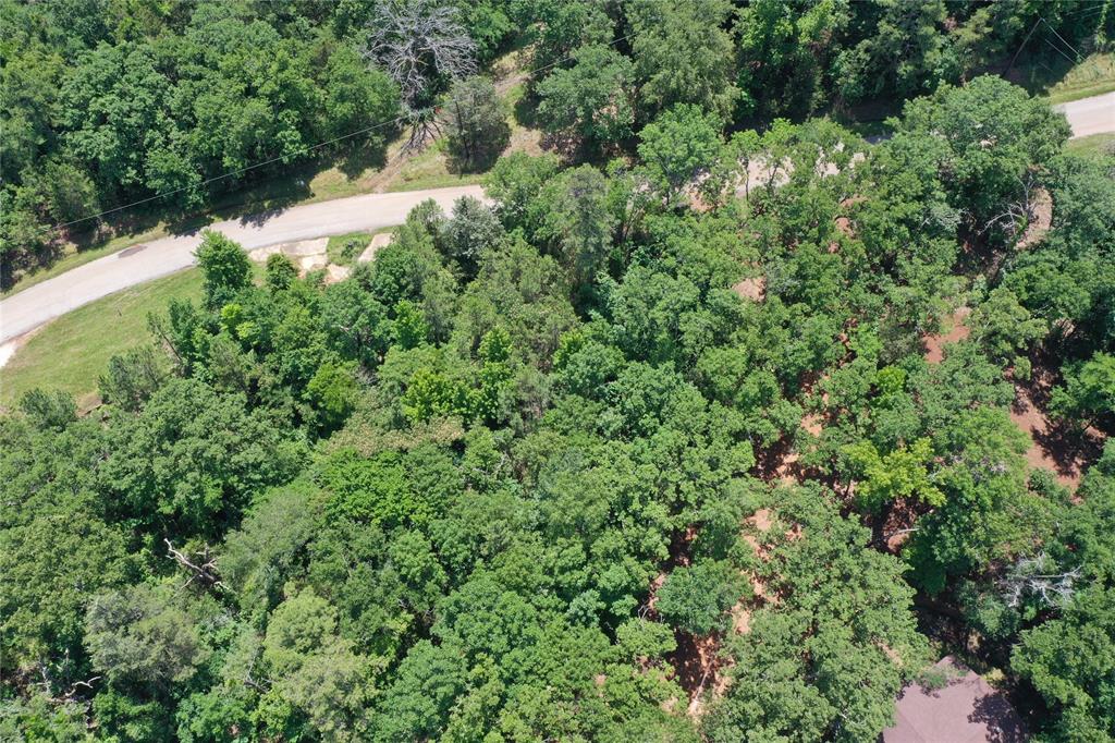 000 County Road 2101, Palestine, Texas image 9