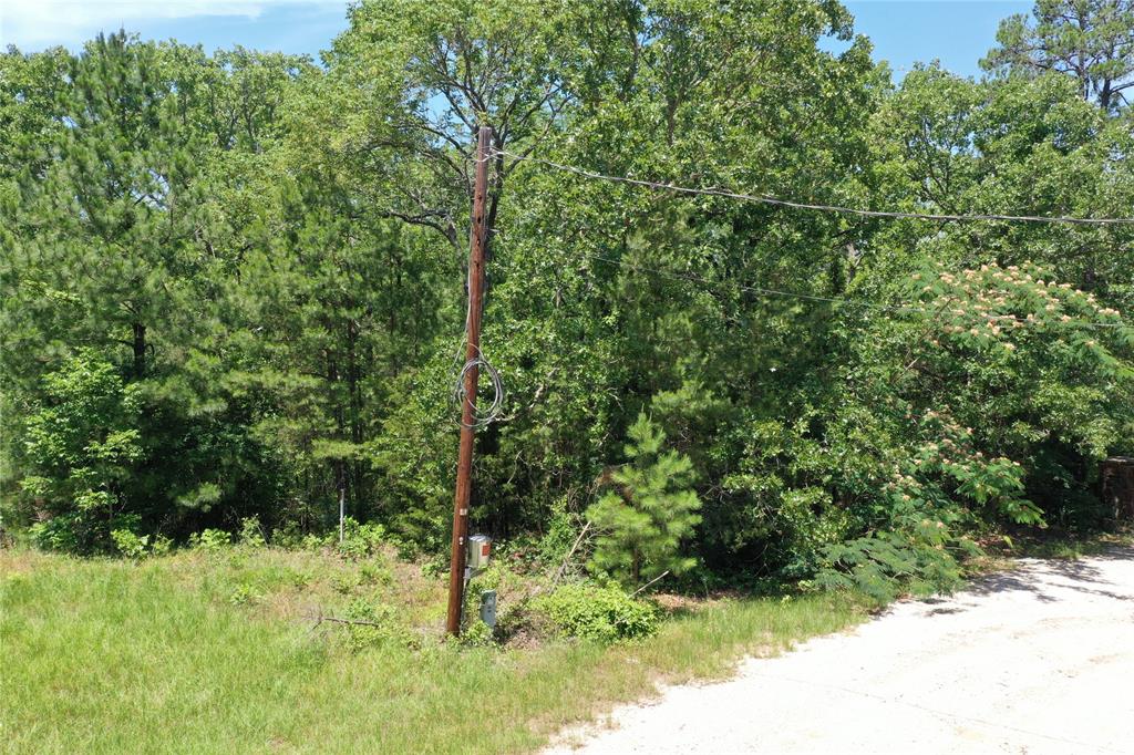 000 County Road 2101, Palestine, Texas image 8