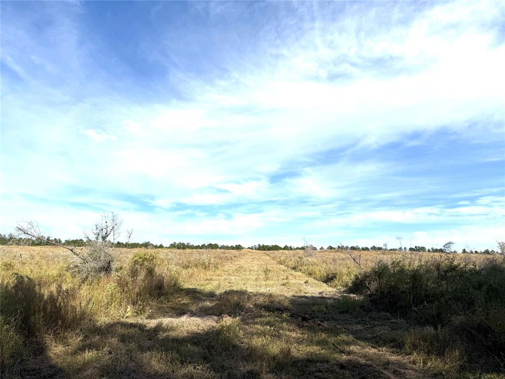 878 Joe Hudson Road Rd, Trinity, Texas image 19