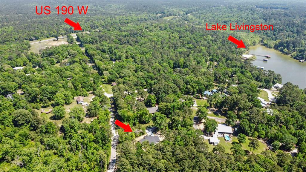 118 Bear Hill Drive, Livingston, Texas image 3
