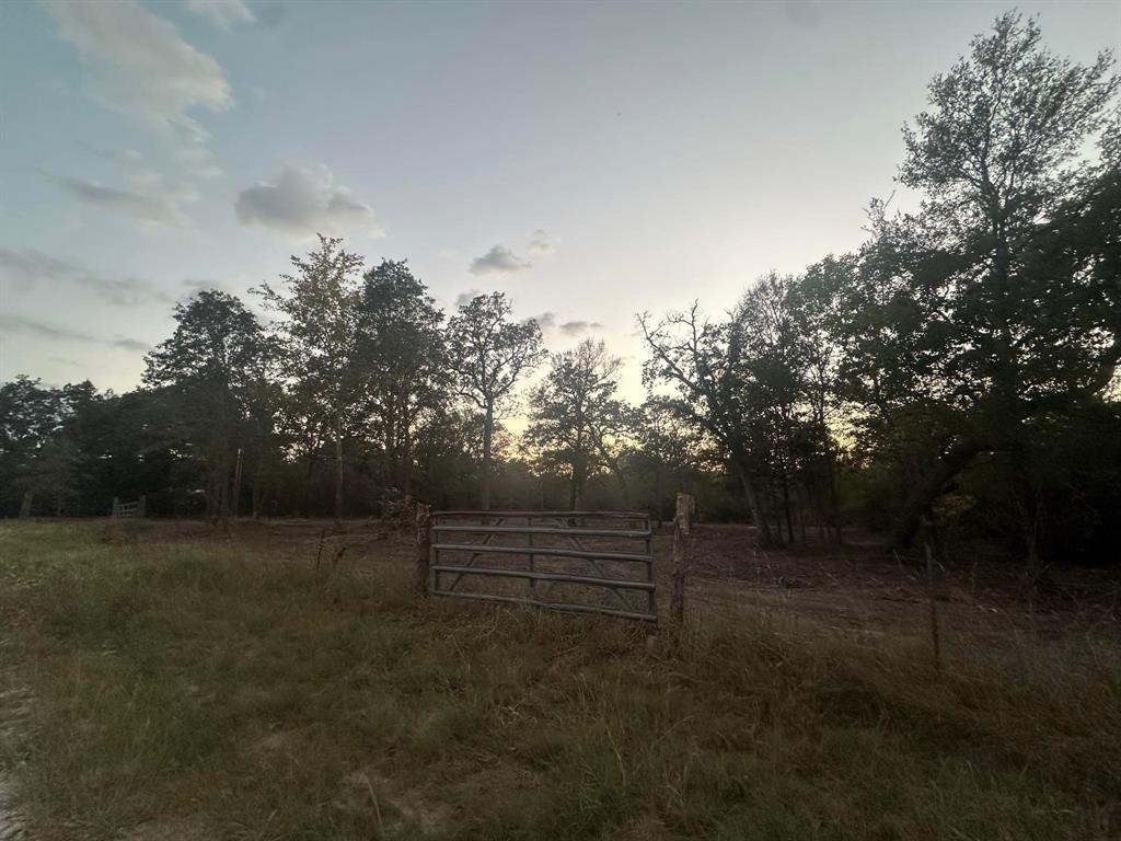 26407 County Road 131, Bedias, Texas image 9