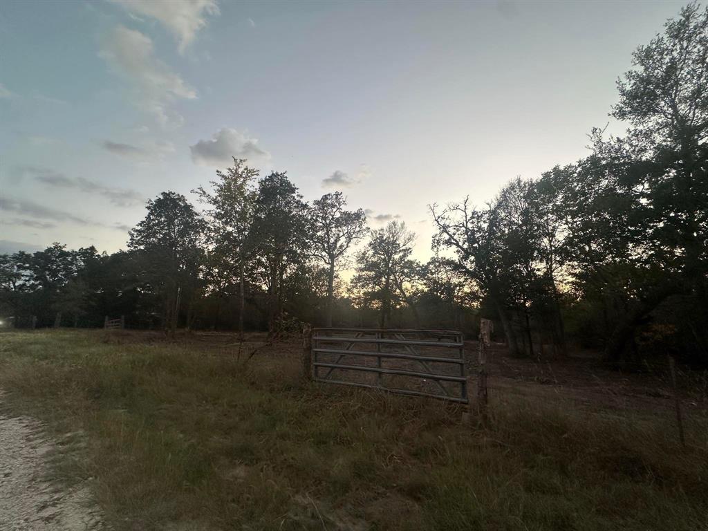 26407 County Road 131, Bedias, Texas image 4