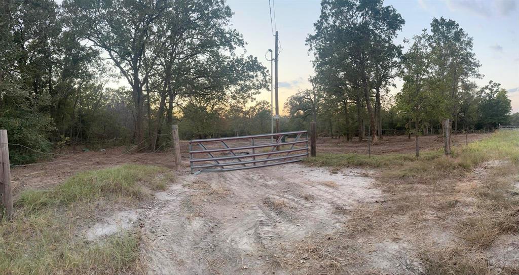 26407 County Road 131, Bedias, Texas image 11