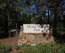 15 S Duskwood Place, The Woodlands, Texas image 34