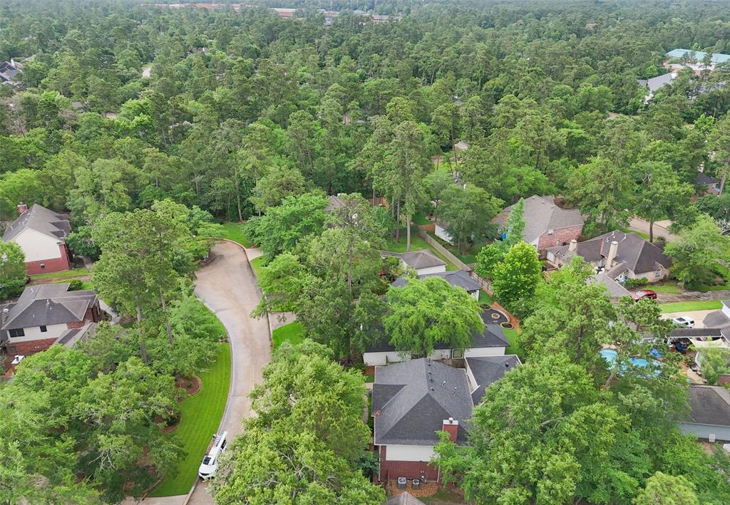 15 S Duskwood Place, The Woodlands, Texas image 33