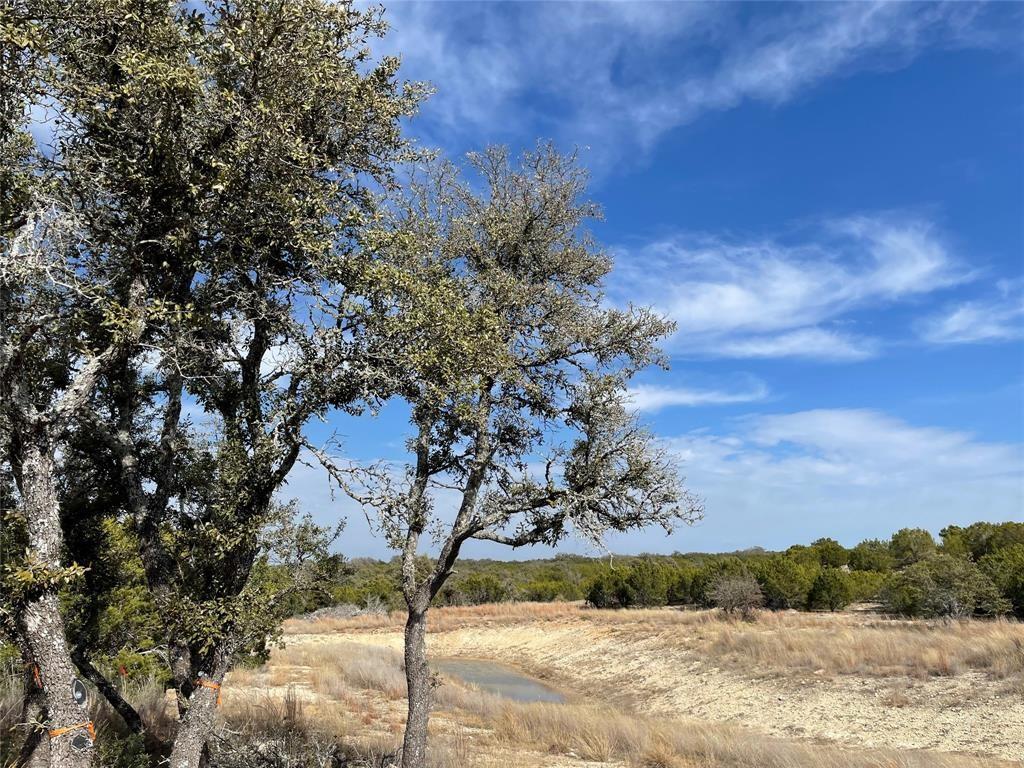 2078 W Ranch Road 962 Lot 26, Round Mountain, Texas image 9