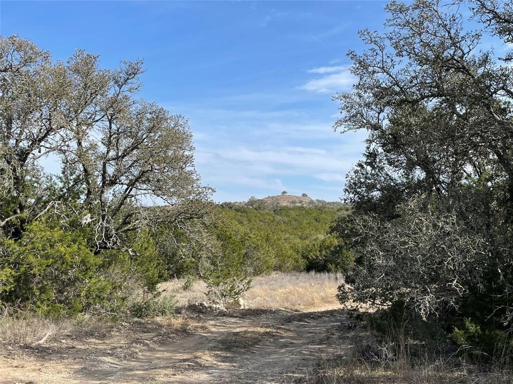 2078 W Ranch Road 962 Lot 26, Round Mountain, Texas image 5