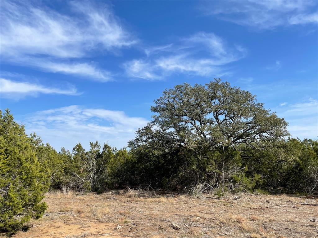 2078 W Ranch Road 962 Lot 26, Round Mountain, Texas image 7