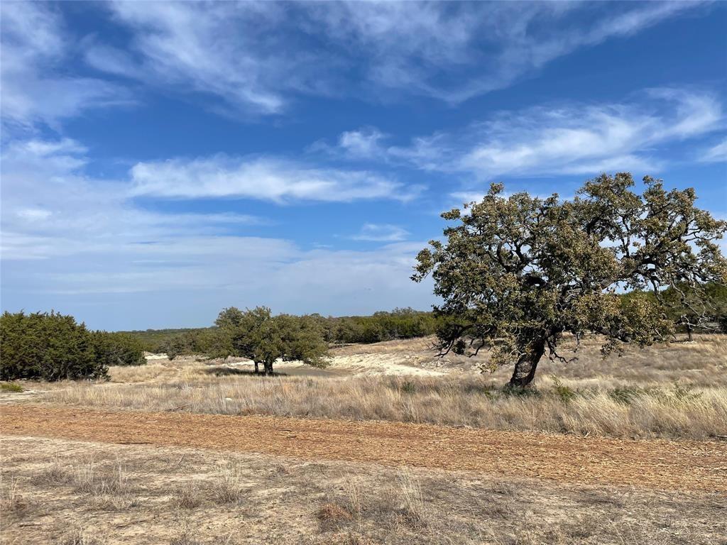 2078 W Ranch Road 962 Lot 26, Round Mountain, Texas image 10