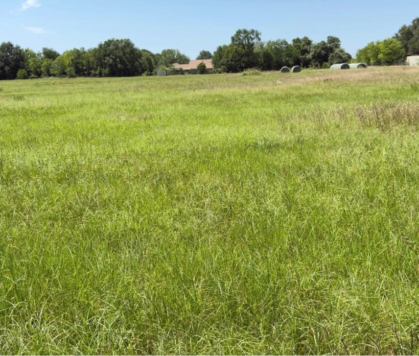 12415 Roesler Road, Needville, Texas image 12