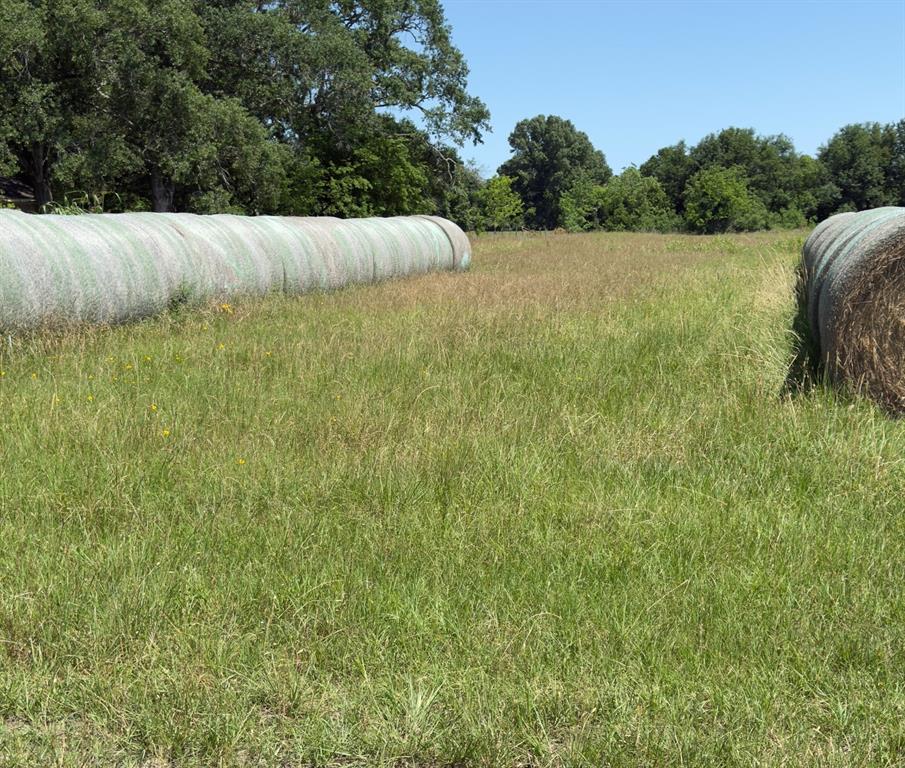 12415 Roesler Road, Needville, Texas image 5