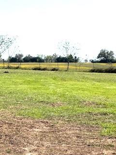 9903 Fm 978, Normangee, Texas image 12