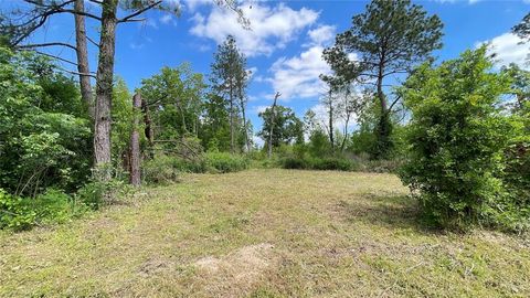 Photo of 316 Road 3802, Cleveland, TX 77328 (MLS # 9938473)
