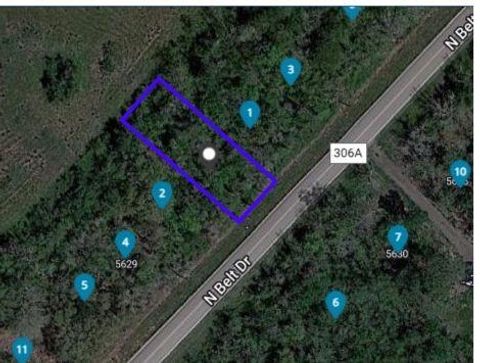 Photo of 0 N Belt Street, Brazoria, TX 77422 (MLS # 96889150)