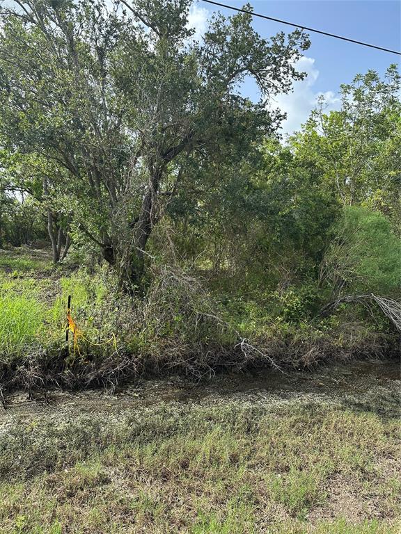 N Belt Street, Brazoria, Texas image 3