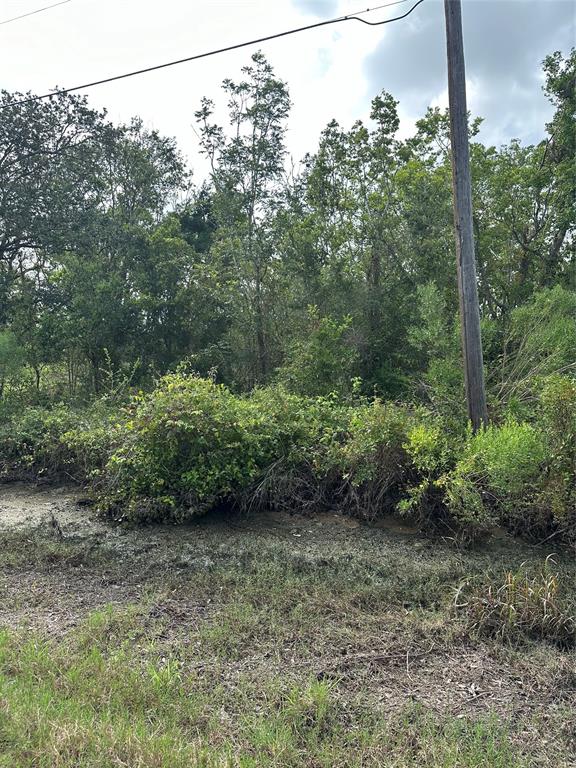 N Belt Street, Brazoria, Texas image 8