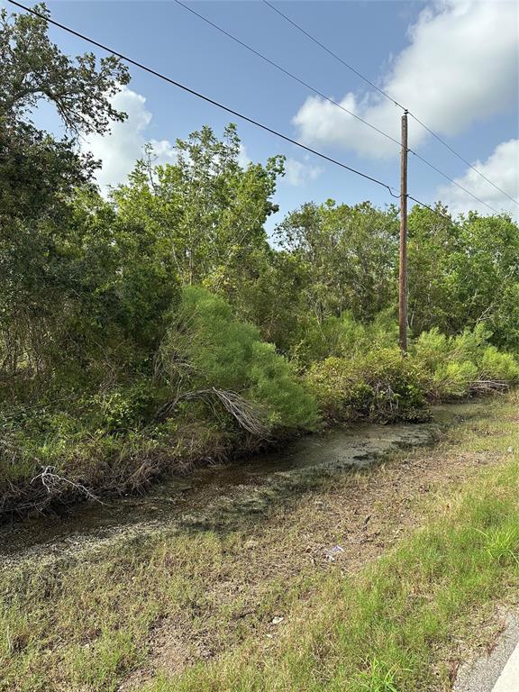 N Belt Street, Brazoria, Texas image 4