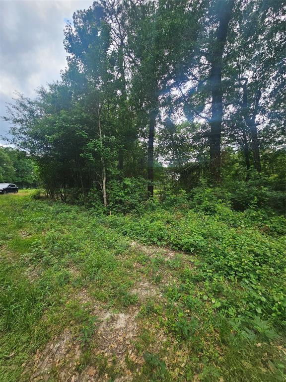 N/A Oldbury Road, Vidor, Texas image 8