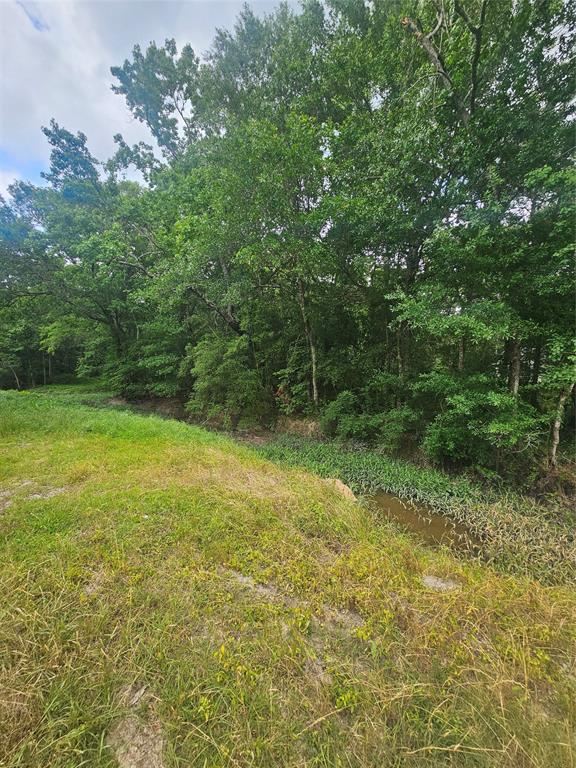 N/A Oldbury Road, Vidor, Texas image 4