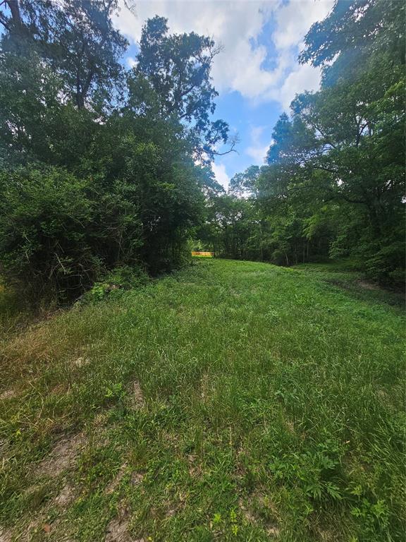 N/A Oldbury Road, Vidor, Texas image 5