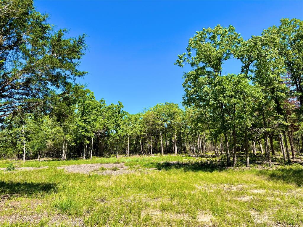 357 Oak Hollow