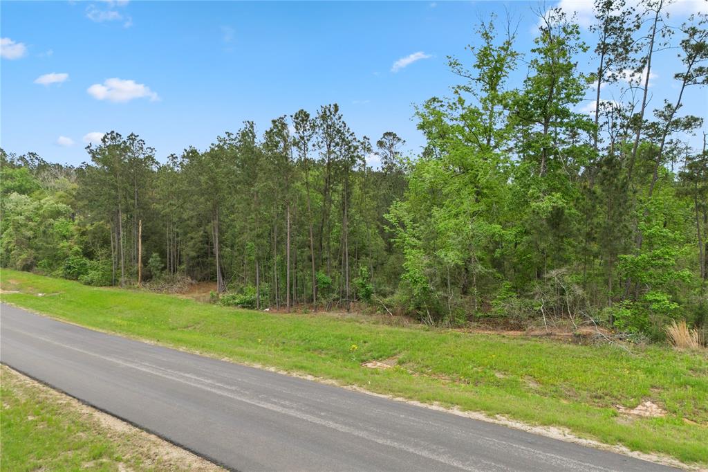 11800 Grand North Road, Willis, Texas image 11
