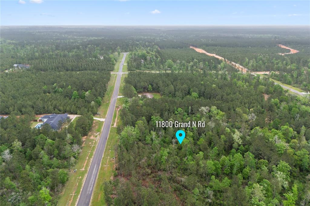 11800 Grand North Road, Willis, Texas image 12