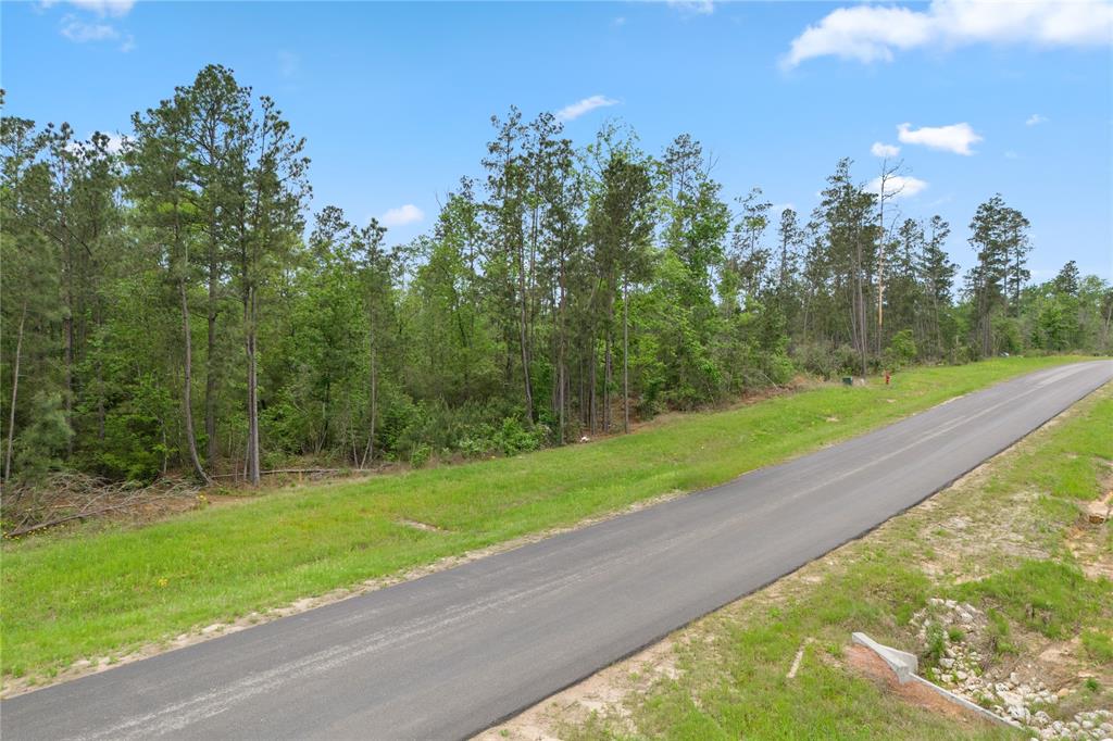 11800 Grand North Road, Willis, Texas image 10