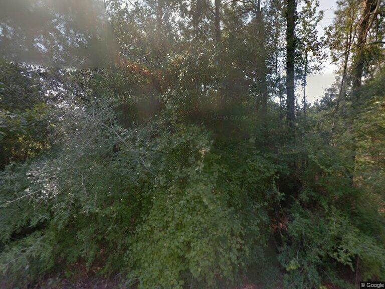 25908 Cornwall, New Caney, Texas image 1
