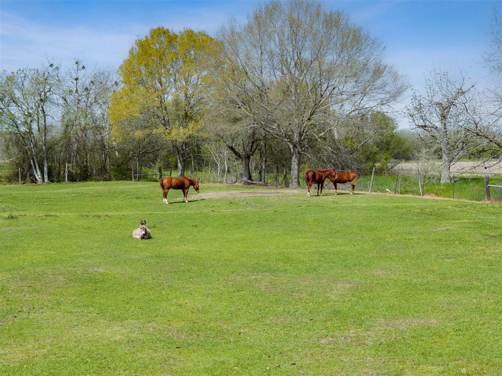 10626 Buls Road, East Bernard, Texas image 26