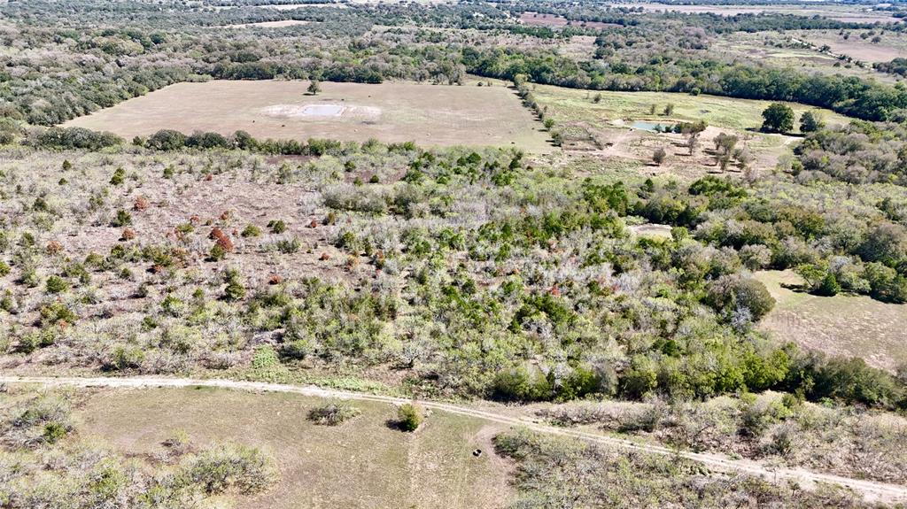 Tract 4 Maynard Hallmark Road, Waelder, Texas image 2