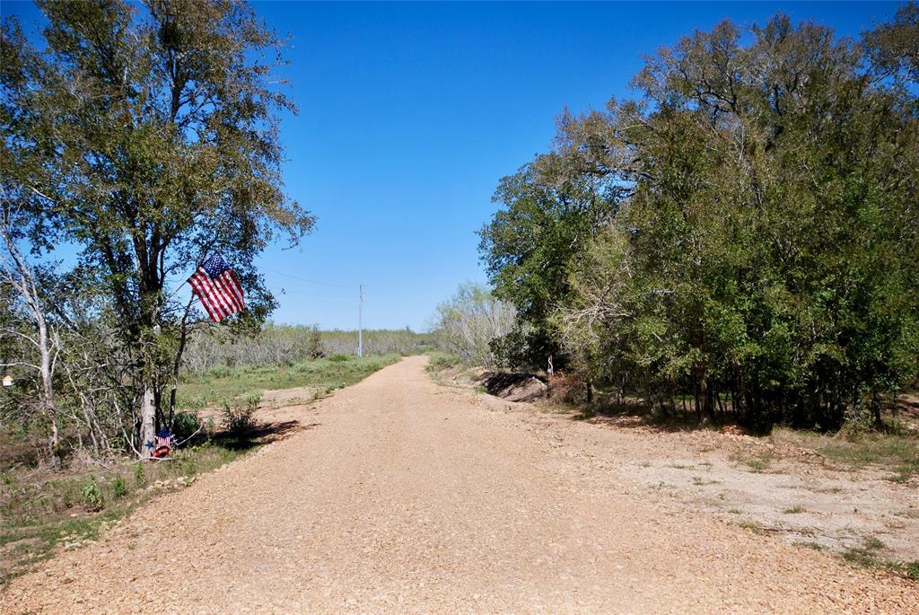 Tract 4 Maynard Hallmark Road, Waelder, Texas image 8