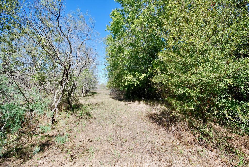 Tract 4 Maynard Hallmark Road, Waelder, Texas image 7