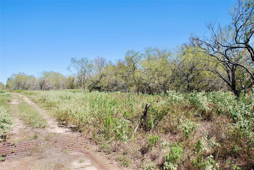 Tract 4 Maynard Hallmark Road, Waelder, Texas image 6