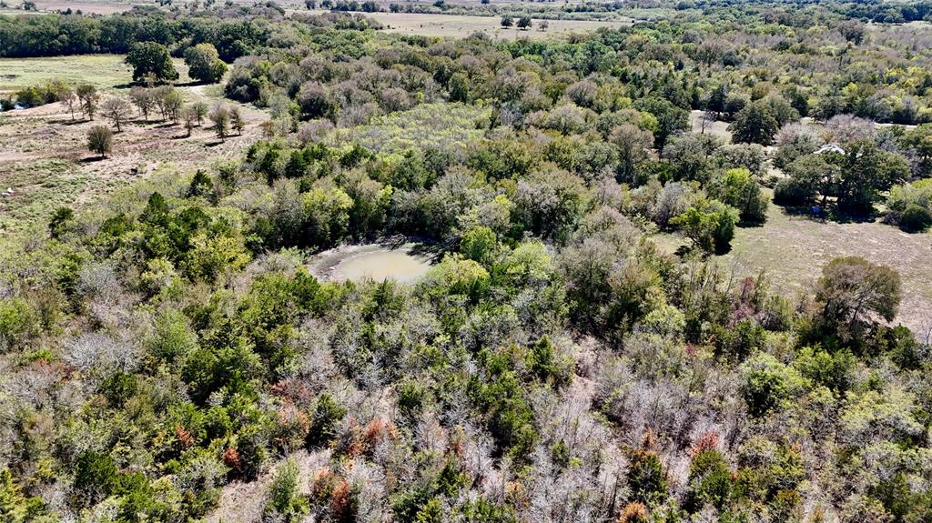 Tract 4 Maynard Hallmark Road, Waelder, Texas image 3