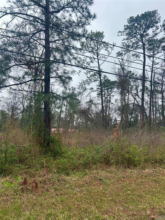 703 Little Doe Drive, Crosby, Texas image 4