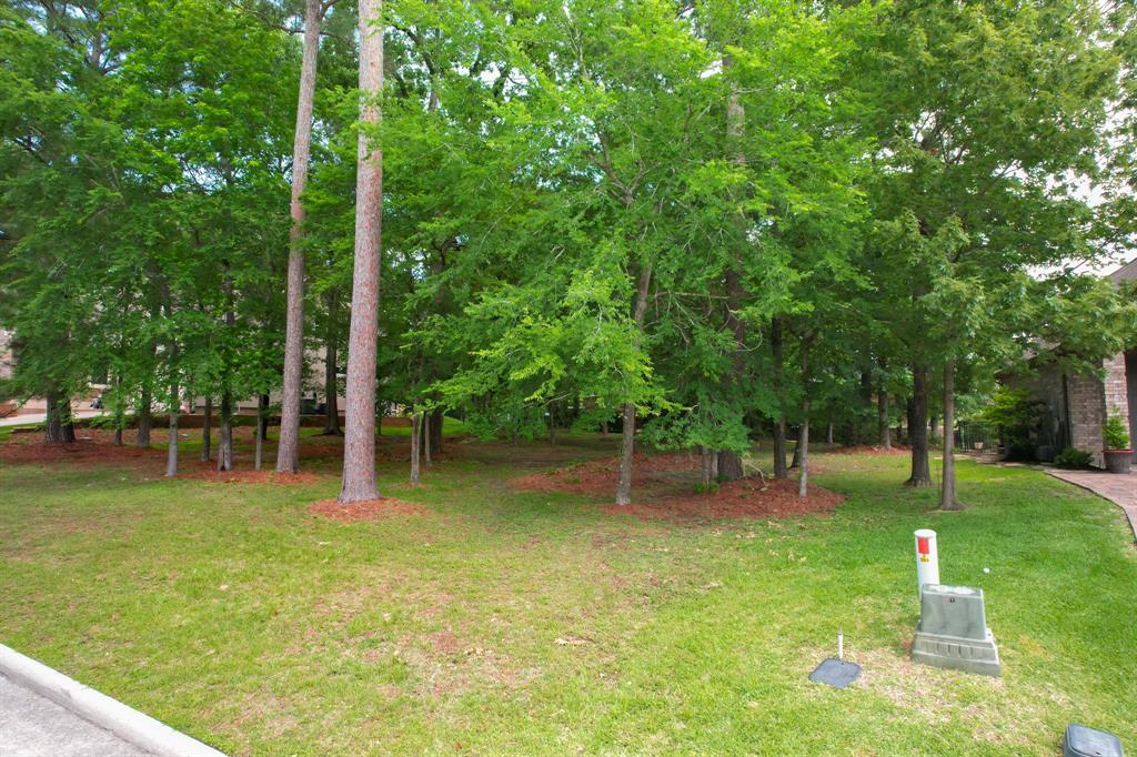 339 W Shore Lane