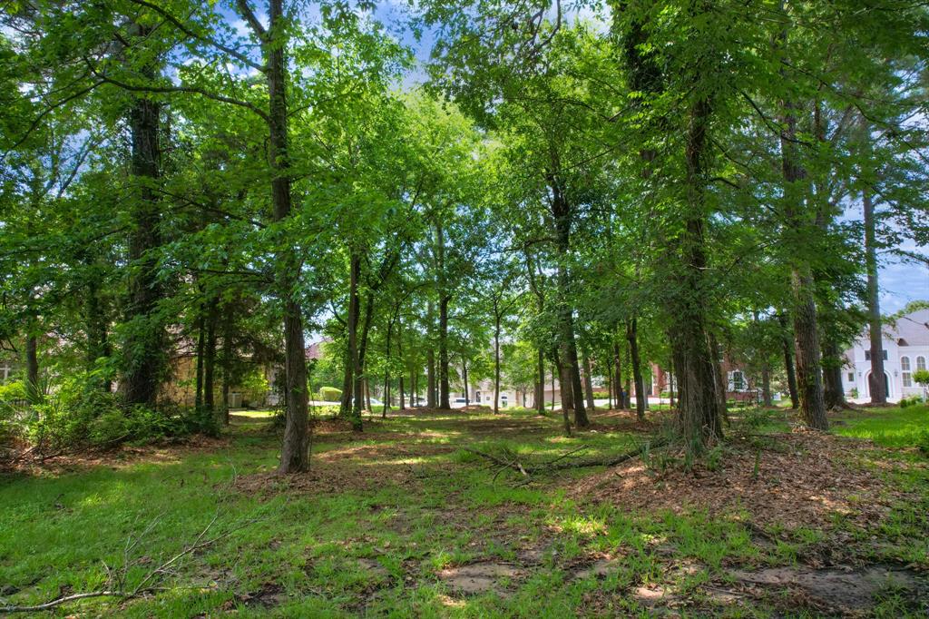 339 W Shore Lane, Montgomery, Texas image 6