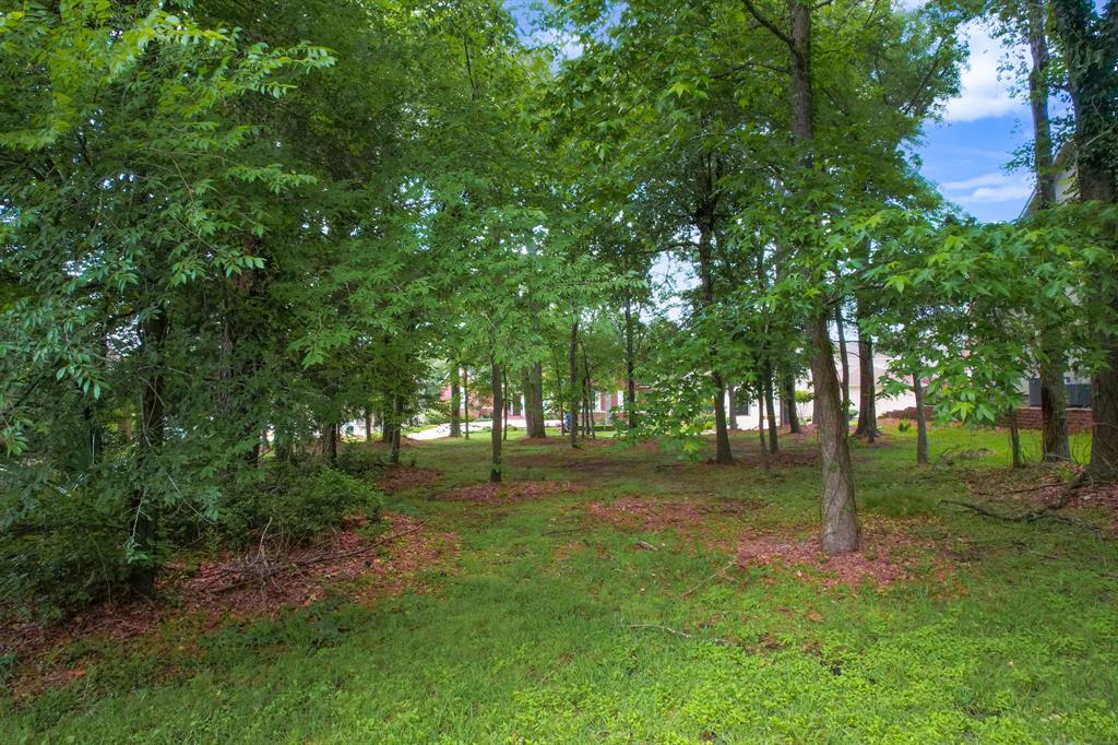 339 W Shore Lane, Montgomery, Texas image 7