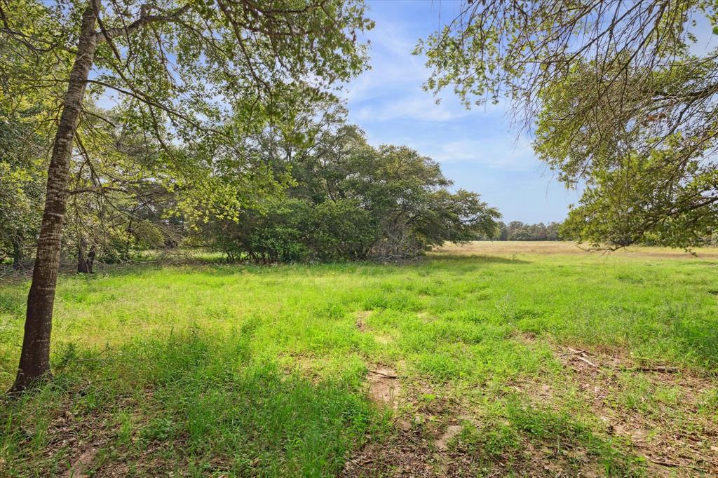 880 N Weyand Road, Round Top, Texas image 7