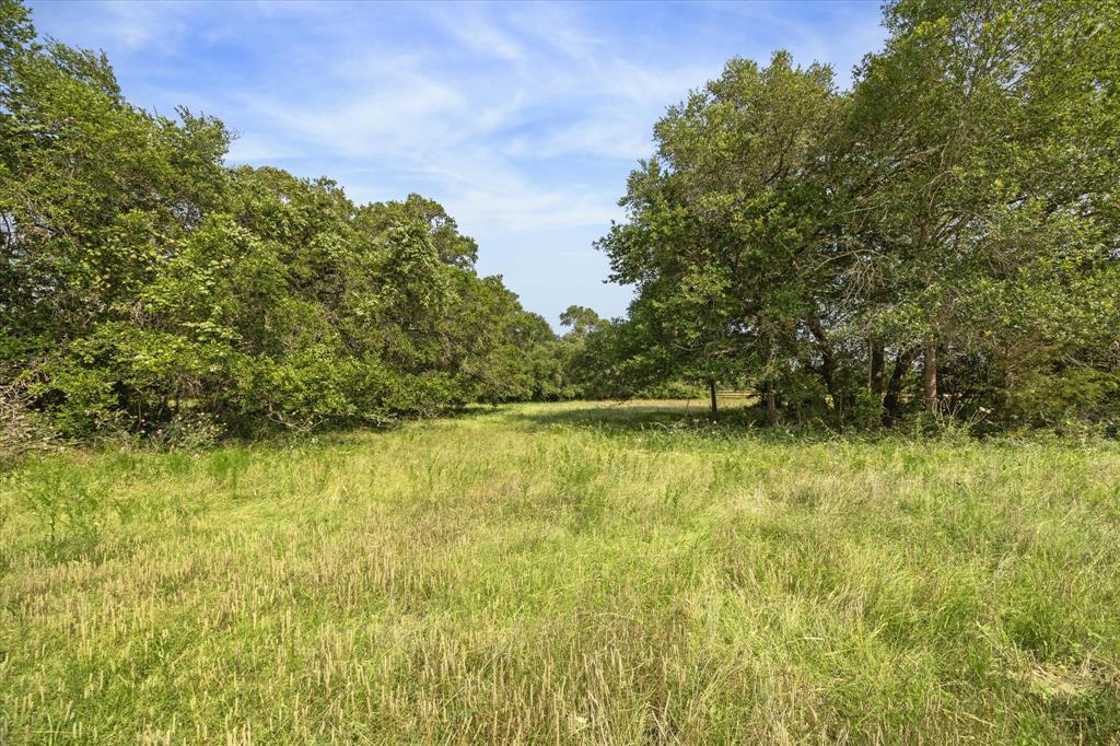 880 N Weyand Road, Round Top, Texas image 3