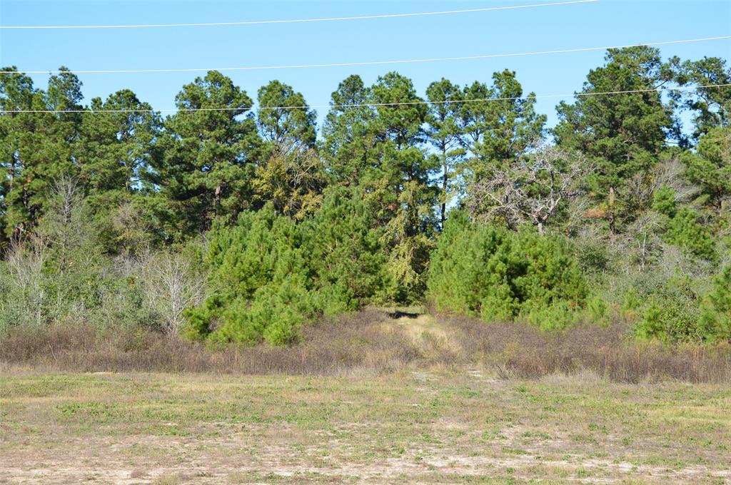 Tract #1 Sh 249, Navasota, Texas image 17